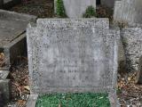 image of grave number 646128